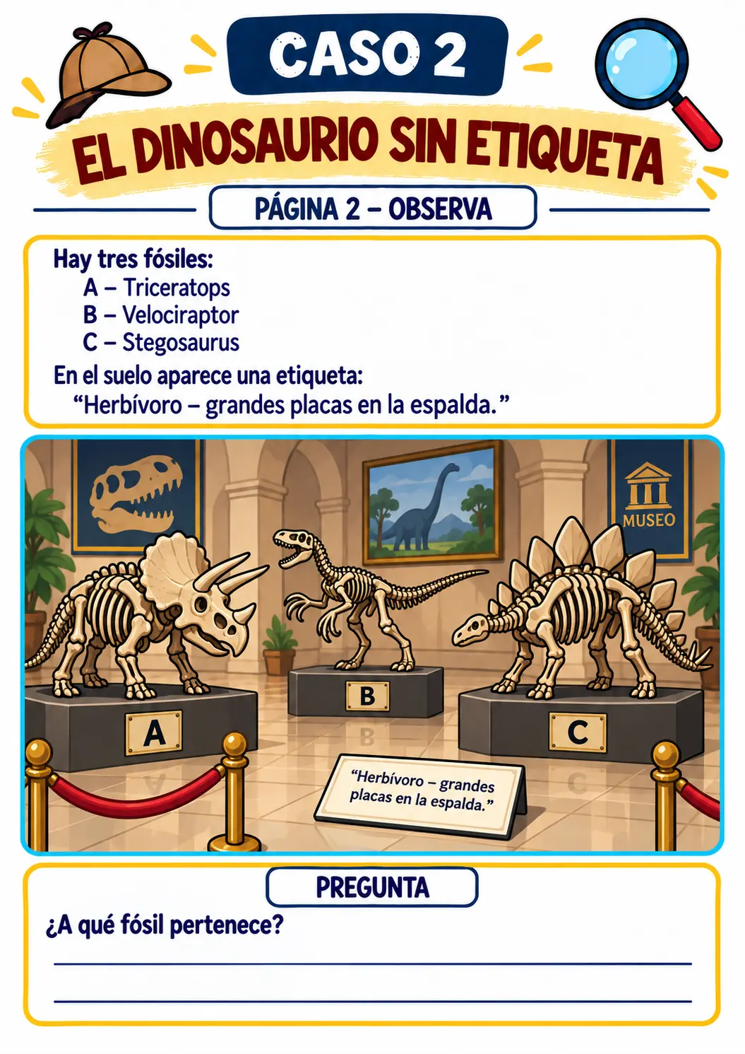 CASO 2 – OBSERVA